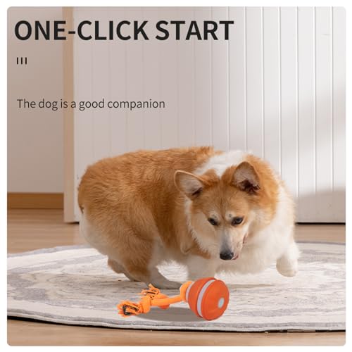 Interactive Dog Toys Dog Ball,Automatic Rolling and Bouncing Moving Dog Toy - color: 1 Orange