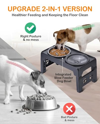 LALOBLUE Collapsible Dog Bowls Raised Elevated Adjust Stand