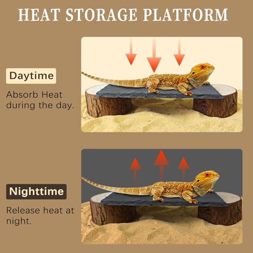 Bearded Dragon Basking Platform,Natural Slate Reptile Basking Rocks,L