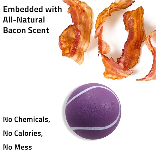 Playology Squeaky Chew Ball Dog Toy - Jumbo, Bacon Scent - size: Jumbo, style: Bacon
