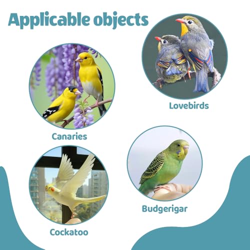 Parrot Chewing Toy, Candy Shape Bird Shredding Paper Toy Hanging Parrots Entertainment Toys for Cockatiels, Budgies, Conures, Parakeets, Lovebirds - color: Blue