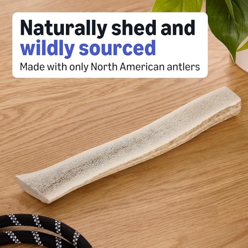 Amazon Basics Split Elk Antler, Naturally Shed, Long Lasting for Aggressive Chewers, X-Large (Best for Dogs Over 45 lbs) (Pack of 4) (Previously Wag) - size: X-Large (Dogs over 45 lbs.) (Pack of 4)