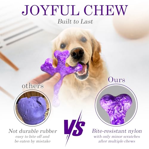 Frienhund 4 Pack (Cactus) Indestructible Tough Dog Toys for Aggressive Chewers: Beef Flavored Chew Bone for Large Dogs 20-90 lbs, Long Lasting & Keep Them Busy - color: Purple & Green