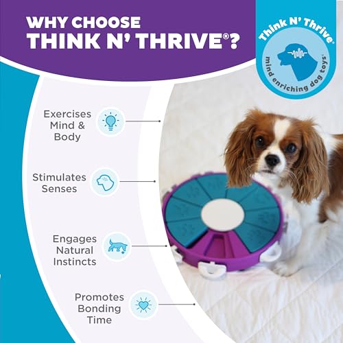 Outward Hound Nina Ottosson Dog Twister Dog Toy Treat Puzzle, 11.8" - color: Dog Twister (Purple, Blue), size: 1 Count (Pack of 1)