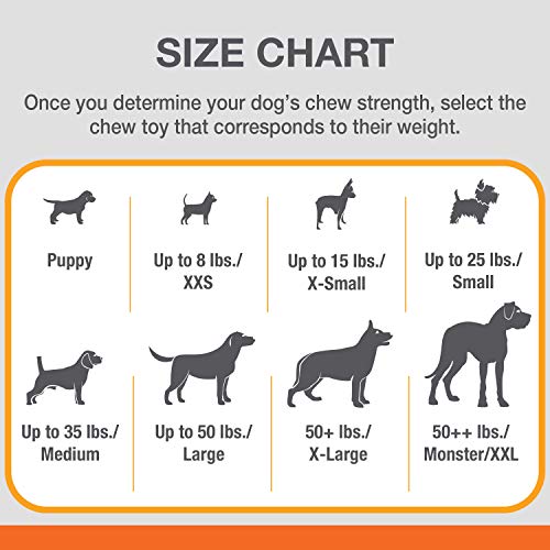 Nylabone Flexi Chew Small Dog Value Pack Dog Toys with Chew Treat, 3 Count - size: X-Small