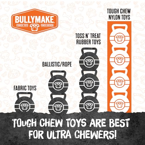 BULLYMAKE Tough Chew Steak Toy for Dogs, Durable Nylon, Aggressive Chewers - style: Steak