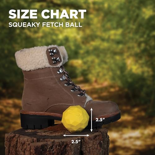 Playology Hound2O Squeaky Fetch Ball - Floating Outdoor Dog Toy - Yellow