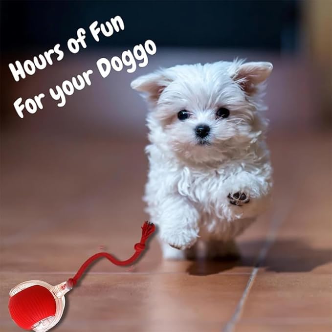 Valentines Day Gifts 2025 New Electric Dog Ball Toy,Electric Ball Dog Toy for Cat,360° Smart Automatic Interactive Rolling Dog Ball, Smart Interactive Pet Toy Ball,Automatic Dog Toy - color: red