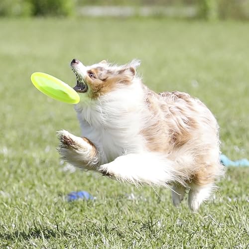 Hyperflite Pup Jawz Puncture Resistant Dog Flying Disc, Small Dogs - color: Yellow
