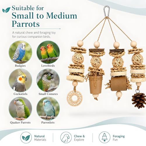 Parakeet Foraging Toy with Loofah & Pine Cone, Bird Chew Toy