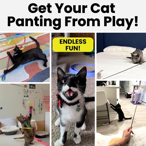 Forever Stick Durable Cat Wand Toy, 9 Attachments and 3 Strings - size: Forever Stick and Extra Toys and Strings