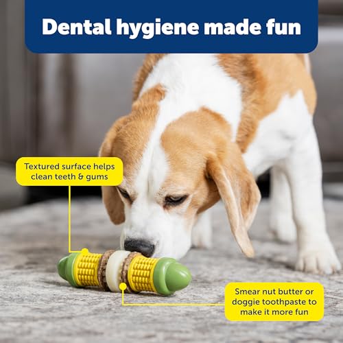 PetSafe Busy Buddy Cravin Corncob Treat Holding Dog Toy, Small/Medium - size: Small/Medium