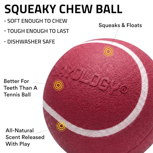 Playology Squeaky Chew Ball Dog Toy - Medium, Cranberry Scent - size: Medium, style: Cranberry