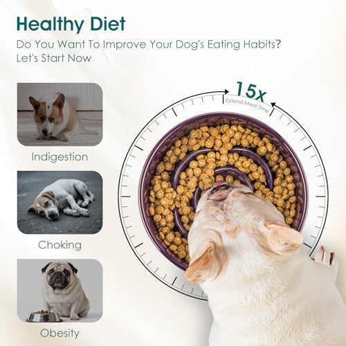 vancasso Slow Feeder Dog Bowl, 0.6 Cups Ceramic Small Puzzle Dog Food Dish - color: Dark Purple, size: S - 0.6 Cups
