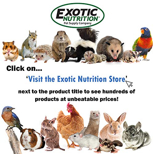 Xpand Tunnel - Durable Expandable Hideaway Play Tube - for Sugar Gliders, Hedgehogs, Rats, Gerbils, Hamsters, Degus, Small Guinea Pigs & Similar Sized Pets