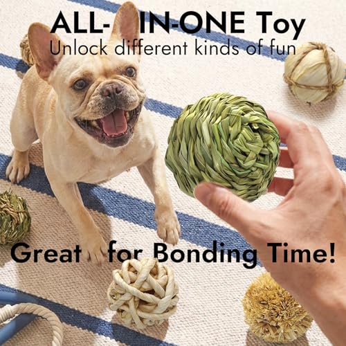 Natural Dog Chew Toys, 6pcs Woven Grass Chew Balls for Dogs, Dental Teething Toys & Interactive Fetch Toys, Outdoor Rattan Digestible Chew Ball for Boredom Relief and Teeth Cleaning - color: 6Kinds