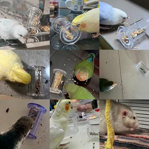 Bird Foraging Toys,Interactive Parrot Training Puzzle & Treat Dispenser, Durable Plastic Enrichment Toys for Cockatiels, Conures, Parakeets, Budgies(Pack4) - color: purple