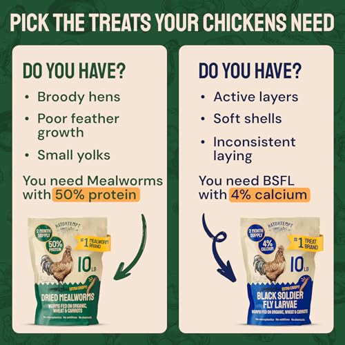Hatortempt 5lb Dried Mealworms for Chickens & Wild Birds, Chicken Feed - size: 5 Pound (Pack of 1)