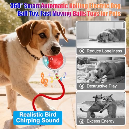 Tiny Fetch Dog Toy, Tinyfetch Interactive Dog Cat Toys Balls with Birdsong, 360° Smart Automatic Rolling Electric Dog Ball Toy, Fast Moving Balls Toys for Pets (Blue) - color: blue
