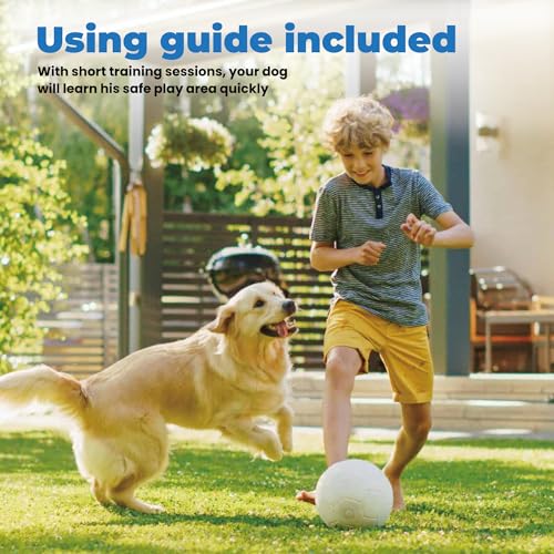 Flirt Pole for Dogs & GPS Wireless Dog Fence for Small Medium Large Dogs Training Playing Exercise