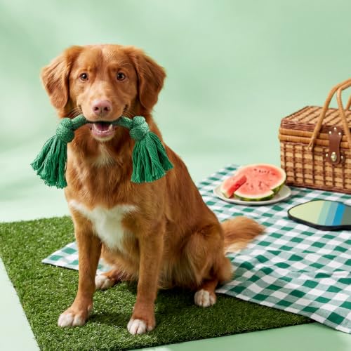 Playology Tug Rope Dog Toys for Medium Dogs - Medium, Watermelon Scent - size: Medium, style: Watermelon