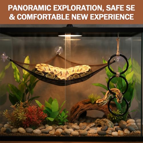 Snake Climbing Rings with 2 Hammock, Snake Climbing Toys Snake Enrichment