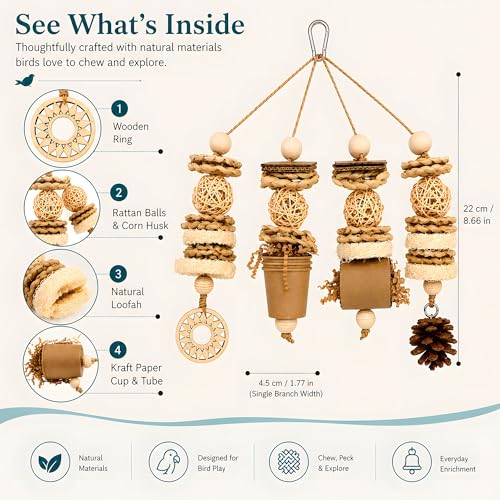 Parakeet Foraging Toy with Loofah & Pine Cone, Bird Chew Toy