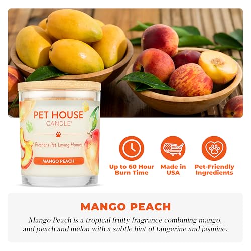 Mango Peach Candle Pet Friendly Plant-Based Wax, Pet House - color: Mango Peach, size: Pack of 1