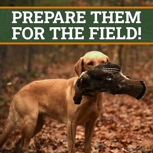Dog Training Scent for Hunting Dogs - Great Nosework for a Duck or Bird Dog - style: Grouse