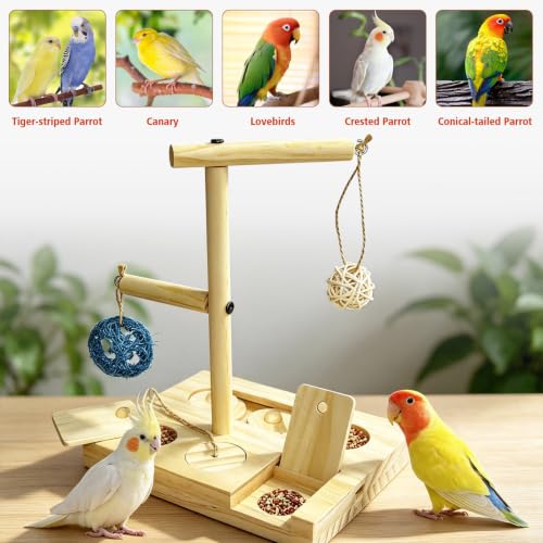Wooden Bird Foraging Puzzle Toys, Bird Foraging Toys Hanging Enrichment Toys for Cage and Small Parrots