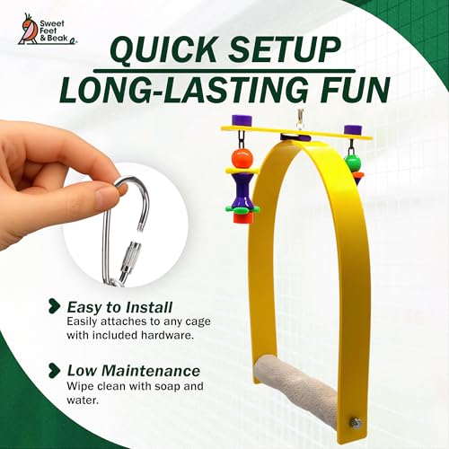 Sweet Feet and Beak Whirly Bird Swing, X-Large Indoor Pedicure Perch
