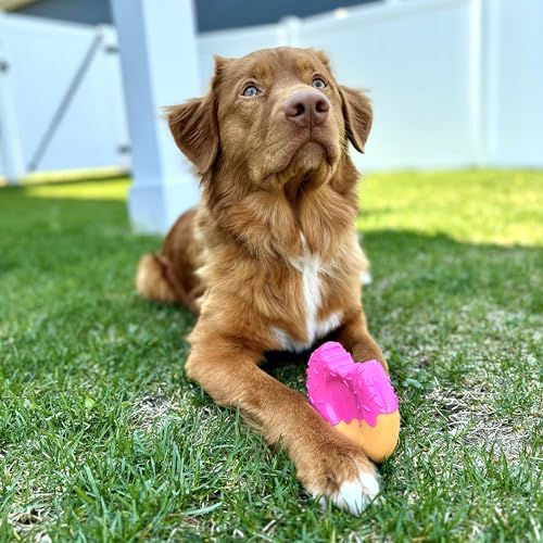 Nylabone Strong Chew Cute Dog Toy Bundle, Large, 3 Count - color: Donut, size: Large (Pack of 3)