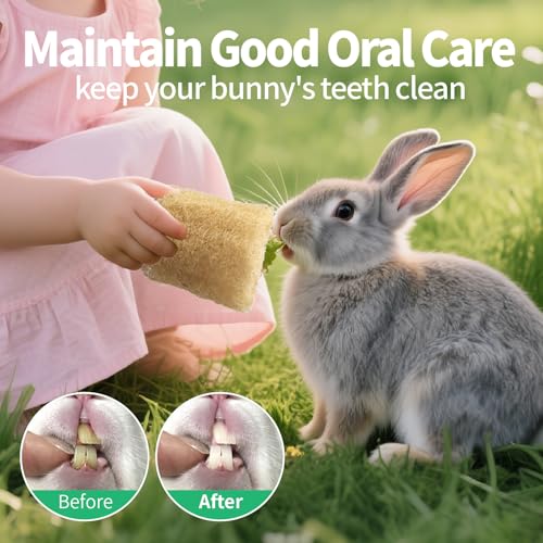 BESNEW 3 PCS Rabbit Chew Toys,100% Natural Loofah Without Additives,Bunny Chew Toys for Teeth,Fiber-Rich Rabbit Treats for Bunny Chinchilla Dogs - style: 3 ps