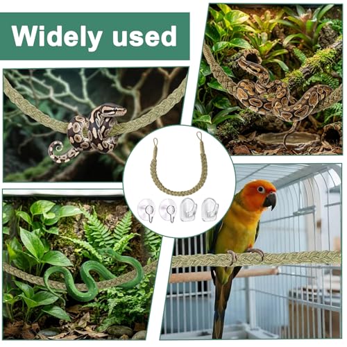 1 Set Green Snake Climbing Rope, Ball Python Tank Accessories with 2 Suction Cups & 2 Horn Hooks, 1.9cm Height Snake Enclosure Accessories for Ball Python Enrichment