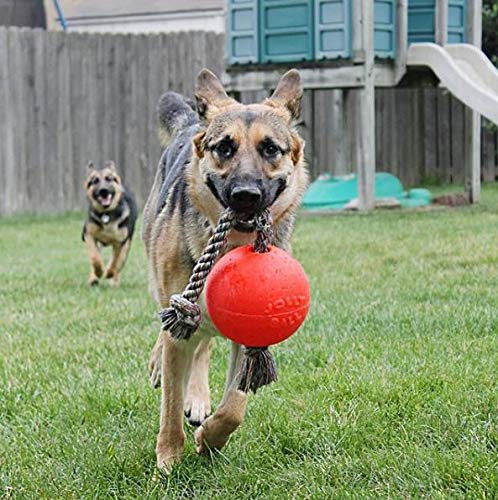 Jolly Pets Romp-n-Roll Dog Toy, Orange, 6", Model Number: 788169060645 - color: Orange, size: Medium (6 in)
