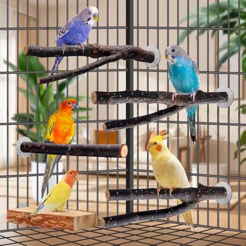 Bird Toys Parakeet Perch Budgie Perch Wood Stand Fork Toys Multi-Branch Perch Platform Toy for Small Conures,Cockatiel,Parrotlet,Lovebird,Parrot,Finches