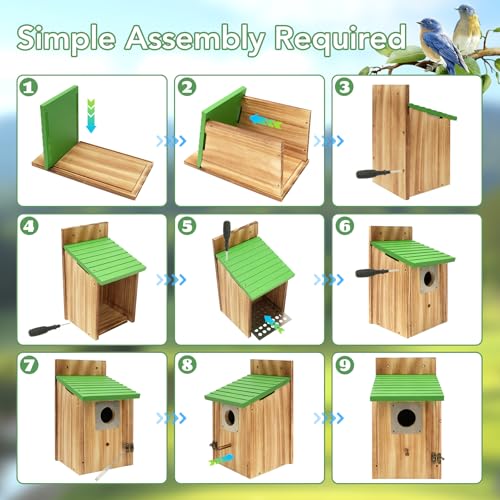 2 Pack Bird Houses for Outside- Cedar Bird House with Metal Predator Guard - color: Green - 2 Pack