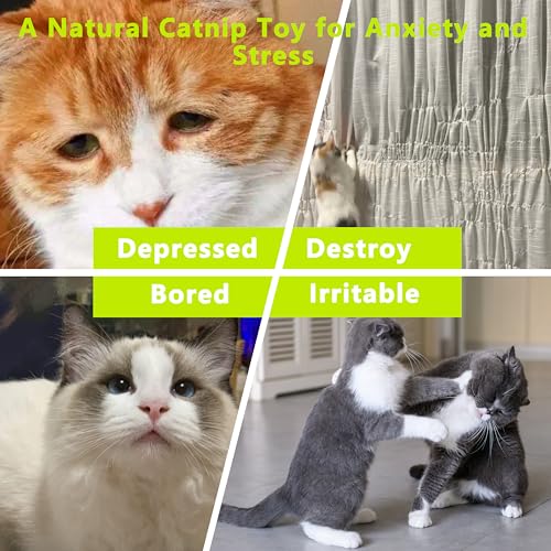 1 Pack Catnip Toys, Soft Cat Pillows Toys - color: Caterpillar
