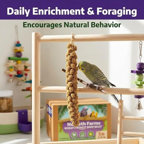 Nemeth Farms Spray Millet - Edible Tops Only, Non-GMO and Sun-Dried - 5 lbs for Parakeets, Conures and Cockatiels - size: 5 Pound (Pack of 1)