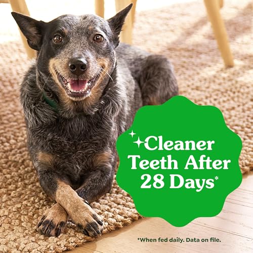 Greenies Regular Dental Dog Treats, Original Chicken Flavor, 3 Count - size: 3 Count (Pack of 1)
