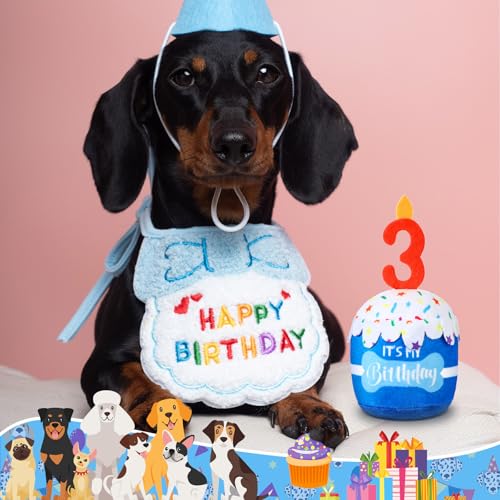 Dansydaisy Dog Birthday Cake Toy Squeaky Plush Gift,3rd,Blue - color: Blue, style: 3rd