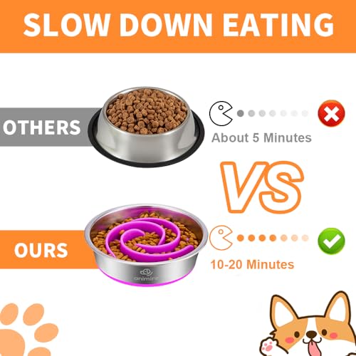 2-in-1 Metal Dog Bowl with Slow Feeder Insert, Stainless Steel Dog Bowls Food Grade 304, Water Food Bowl with Anti-Slip Silicone Base for Small, Medium, Large Dogs - color: Purple, size: 5 Cups