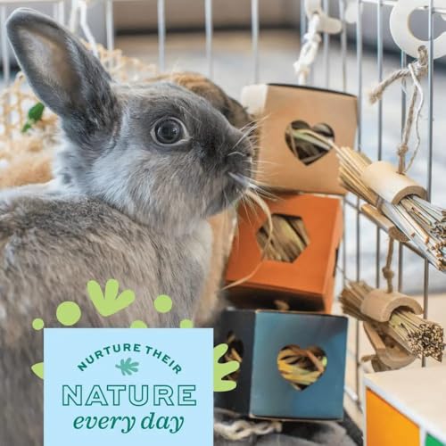 Oxbow Enriched Life Hide Box Hanger - Small animal enrichment toy - style: Hide Box Hanger