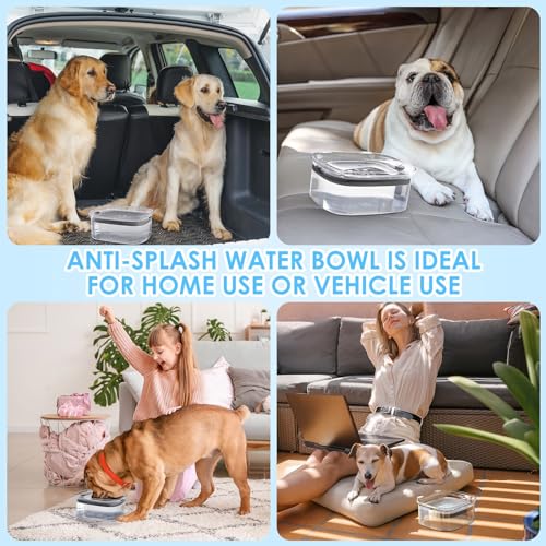AONKEY 3L No Spill Dog Water Bowl with Slow Drinking Disk(Gray) - color: Gray