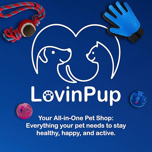 Pet Metal Comb for Dogs and Cats (2-Pack) – Detangling Comb - size: Comb