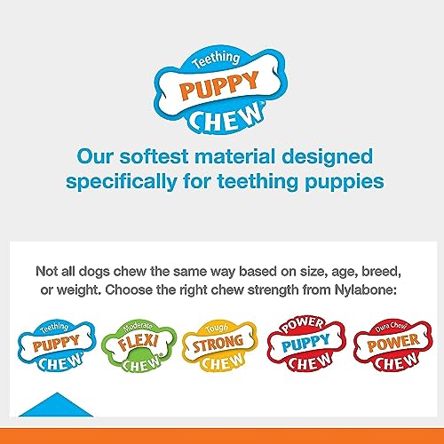 Nylabone Puppy Chew Rubber Textured Teether Dog Chew Toy, Vanilla Flavor - size: Small