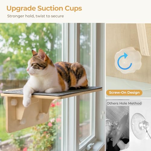 Pecute 2-in-1 Large Cat Window Perch & Wall Shelves, Solid Wood, 21"x11" - size: 21.25"L x 11"W