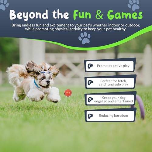 Balls for Aggressive Chewers - Small Dogs and Puppies - 1.5 Inch - 4 Pack - Indestructible Rubber Dog Chew Toys Bulk for Miniature Toy Breeds - size: Mini
