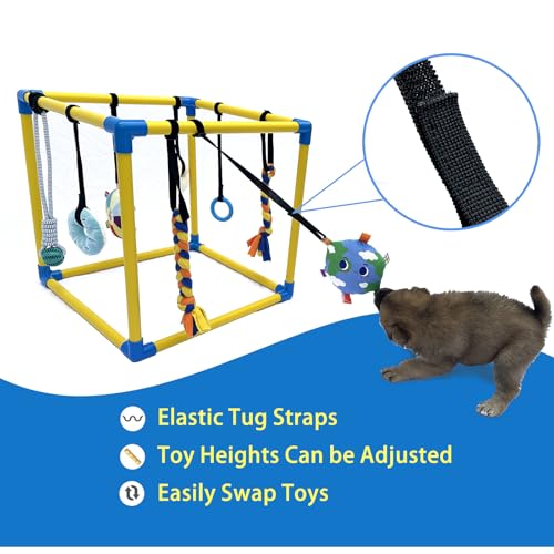 Puppy Play Gym with 8 Hanging Toys, Small Dogs Indoor Enrichment Jungle Gym