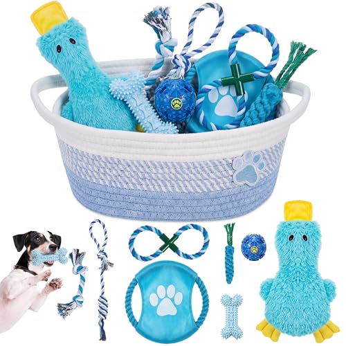 Zopeal Dog Toy Gift Basket Set for Puppy Birthday, Blue - color: Blue